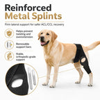 Dog ACL Knee Brace