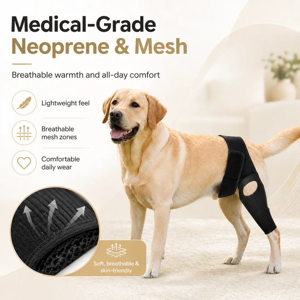 Dog ACL Knee Brace