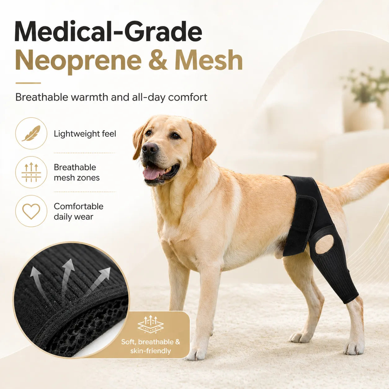 Dog ACL Knee Brace