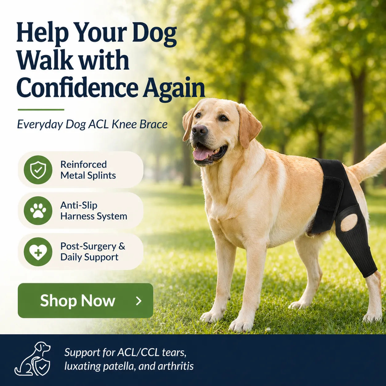 Dog ACL Knee Brace