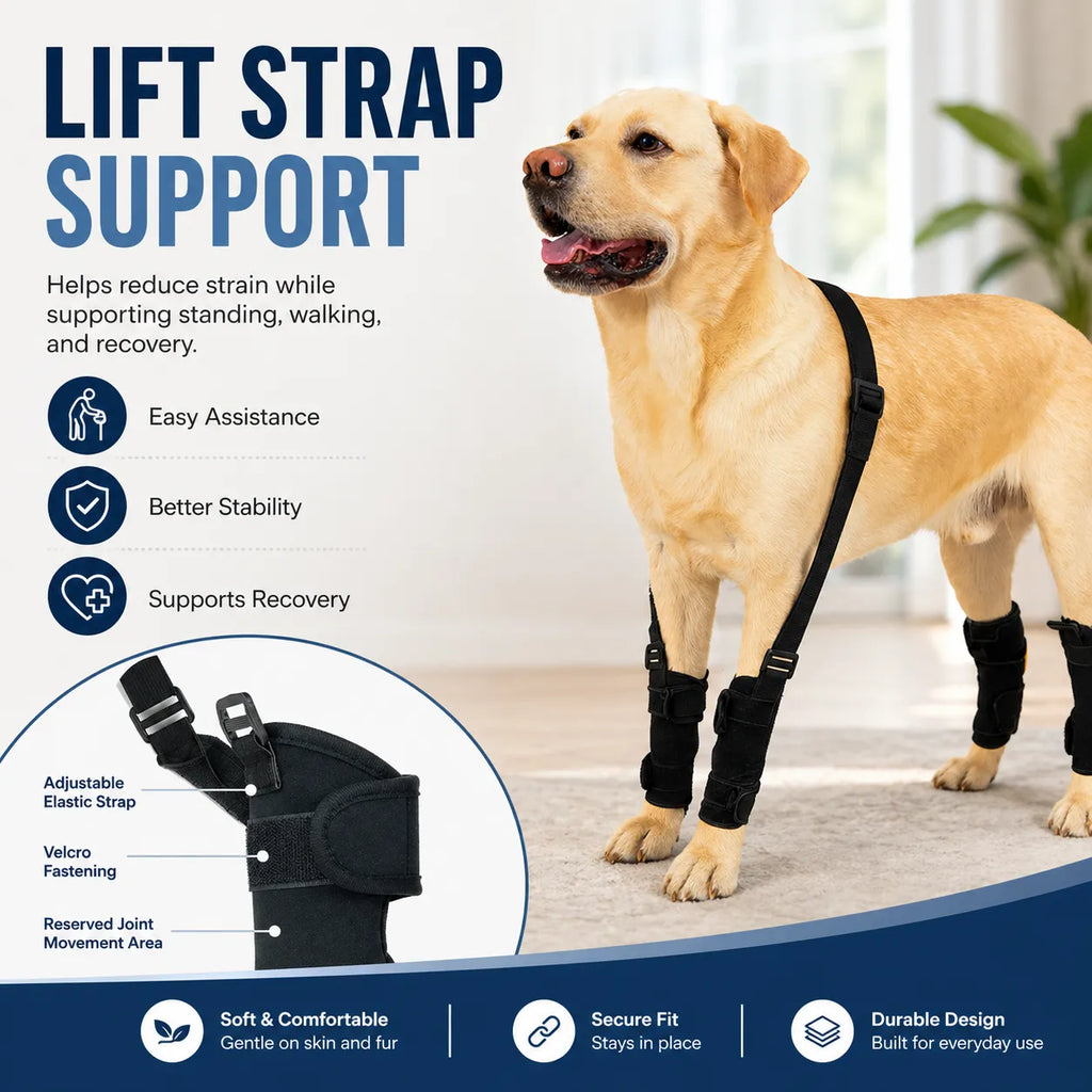 Dog Leg Support Brace with Lift Strap