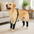 Dog Leg Support Brace with Lift Strap