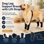 Dog Leg Support Brace with Lift Strap