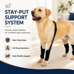 Dog Leg Support Brace with Lift Strap