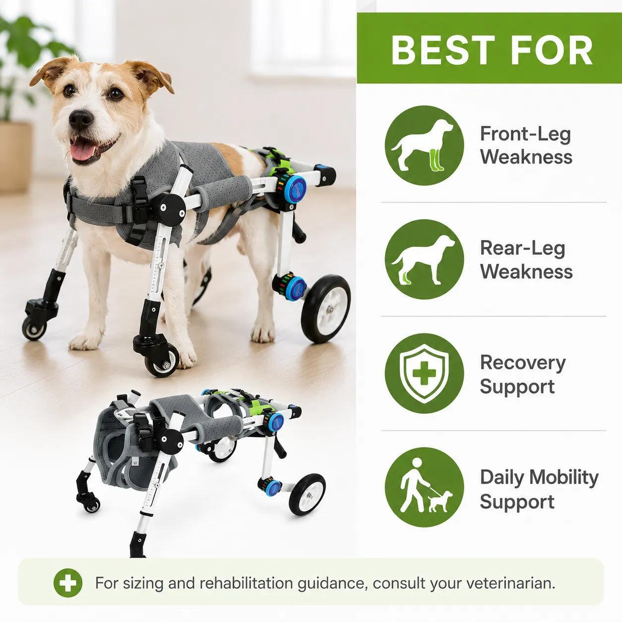 Full Support Dog Wheelchair – Adjustable 4-Wheel Mobility Cart for Small Medium Dogs