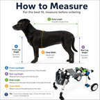 Full Support Dog Wheelchair – Adjustable 4-Wheel Mobility Cart for Small Medium Dogs