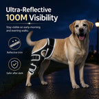 Professional Dog ACL/CCL Knee Brace with 6-Metal Stabilizers
