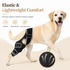 Professional Dog ACL/CCL Knee Brace with 6-Metal Stabilizers
