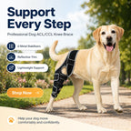 Professional Dog ACL/CCL Knee Brace with 6-Metal Stabilizers