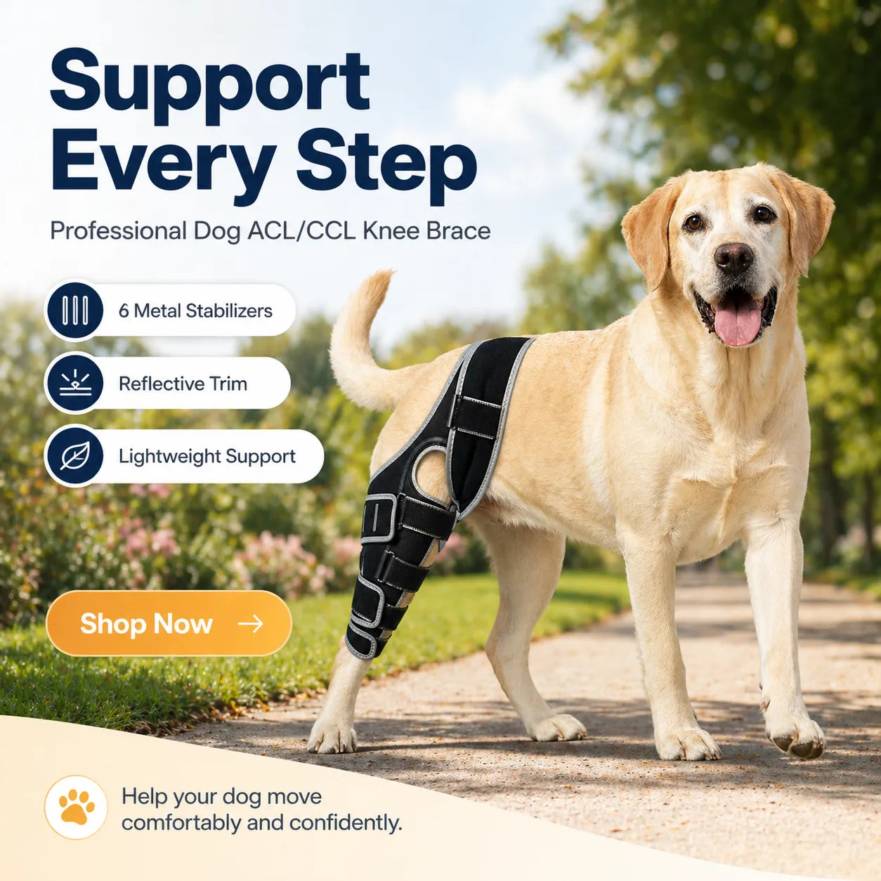 Professional Dog ACL/CCL Knee Brace with 6-Metal Stabilizers