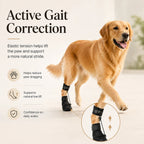 Professional Dog Knuckling Support Brace