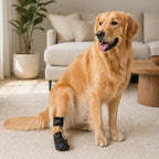 Professional Dog Knuckling Support Brace