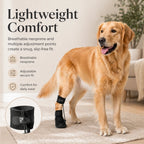 Professional Dog Knuckling Support Brace