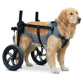 Large Dog Wheelchair for Back Legs – Adjustable Rear Support Mobility Cart for Senior & Disabled Dogs