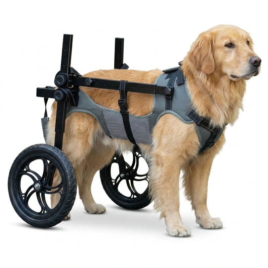 Large Dog Wheelchair for Back Legs