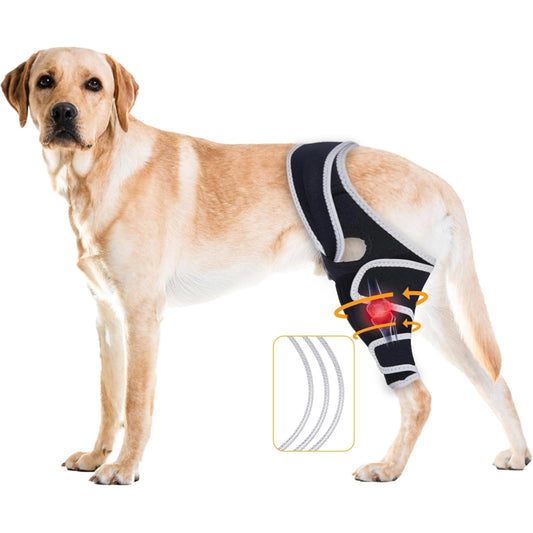 Professional Dog ACL/CCL Knee Brace with 6-Metal Stabilizers