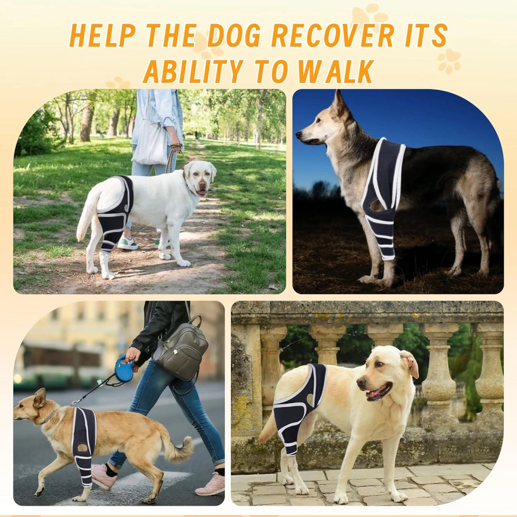 Professional Dog ACL/CCL Knee Brace with 6-Metal Stabilizers