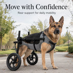 Large Dog Wheelchair for Back Legs – Adjustable Rear Support Mobility Cart for Senior & Disabled Dogs
