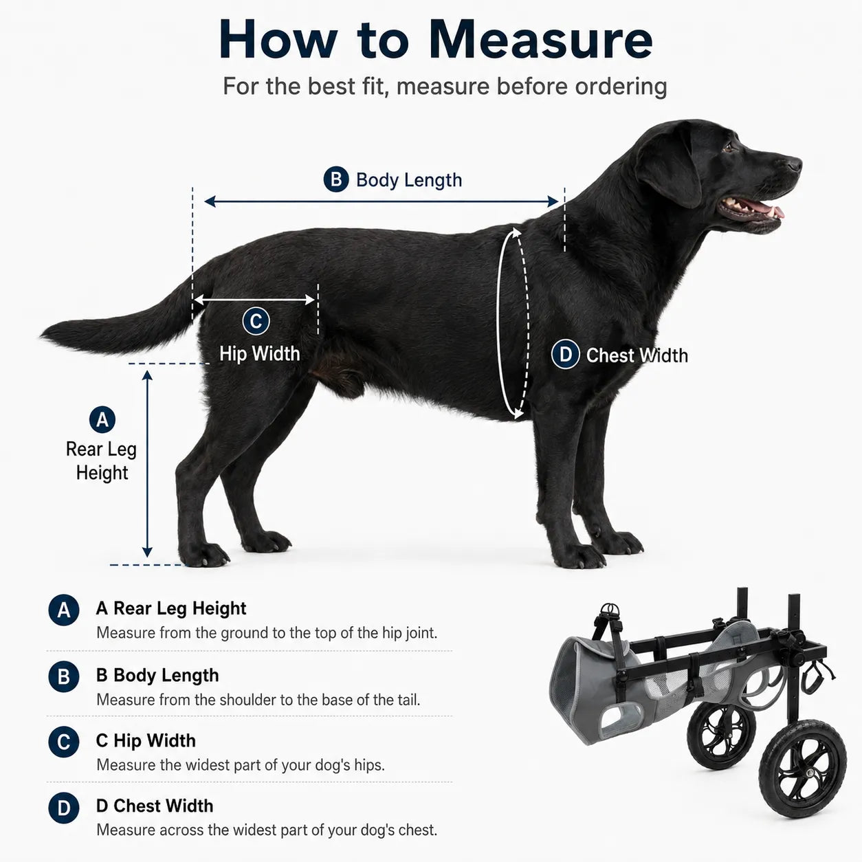 Large Dog Wheelchair for Back Legs